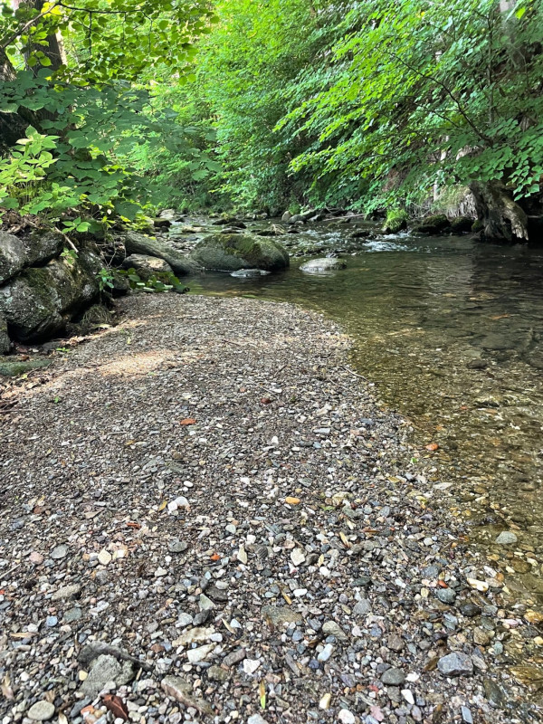 CHALUPA - JÁNSKÉ LÁZNĚ