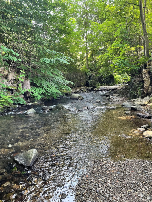 CHALUPA - JÁNSKÉ LÁZNĚ