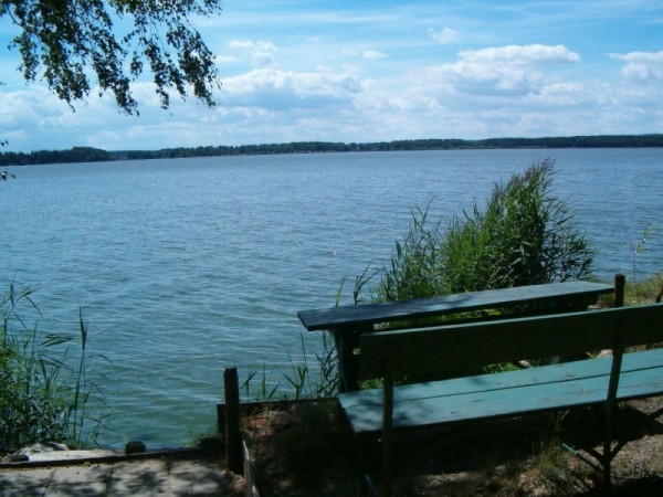 CHATA NA BŘEHU RYBNÍKA