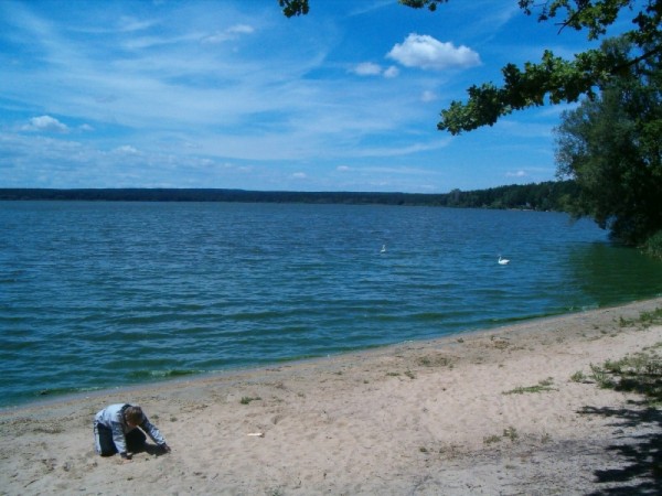 CHATA NA BŘEHU RYBNÍKA