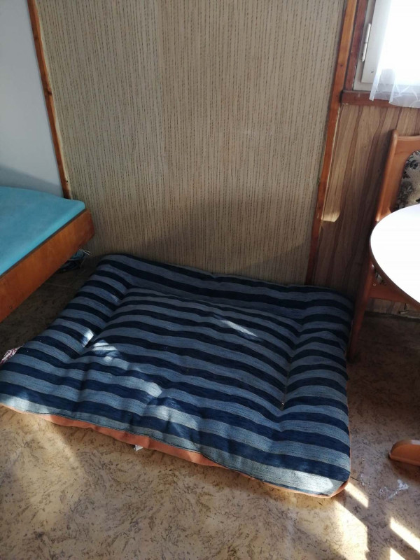 CHATA K PRONAJMUTÍ U KOUPALIŠTĚ
