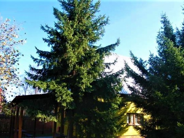 CHATA K PRONAJMUTÍ V BESKYDECH