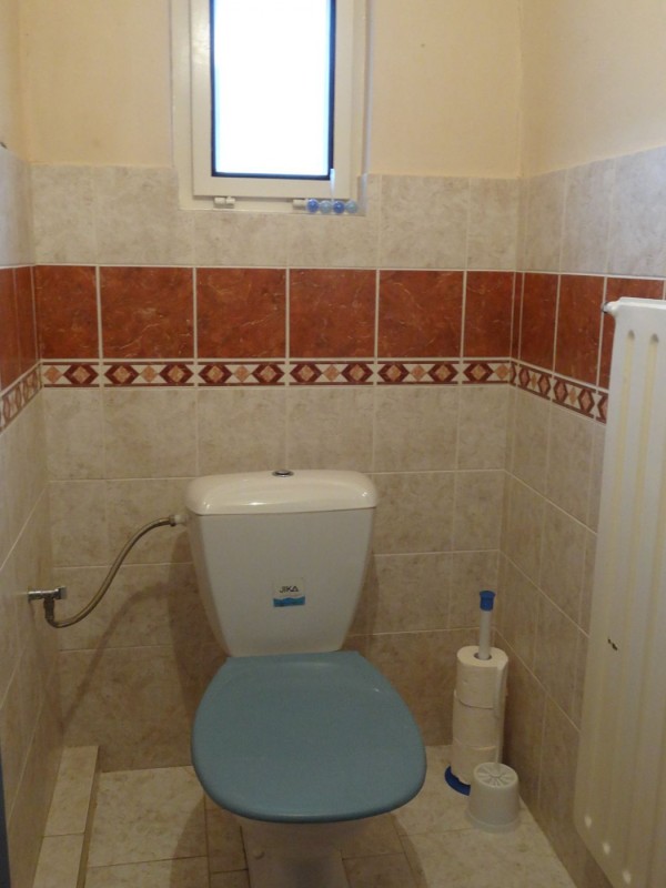 CHALUPA K PRONAJMUTÍ NA SAMOTĚ S VÍŘIVKOU