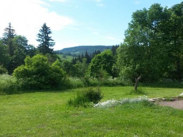 CHALUPA K PRONAJMUTÍ NA SAMOTĚ S VÍŘIVKOU