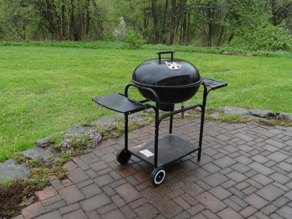 CHALUPA K PRONAJMUTÍ NA SAMOTĚ S VÍŘIVKOU