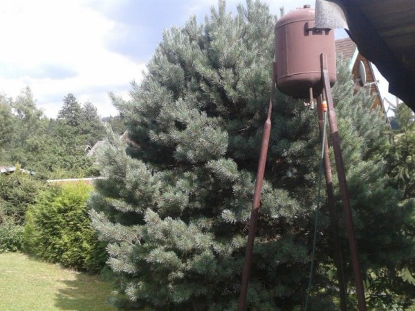 CHATA K PRONÁJMU U PASTVIN