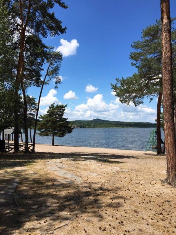 CHATY K PRONÁJMU MÁCHOVO JEZERO