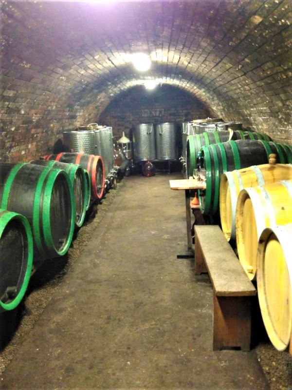 UBYTOVÁNÍ S VINNÝM SKLÍPKEM