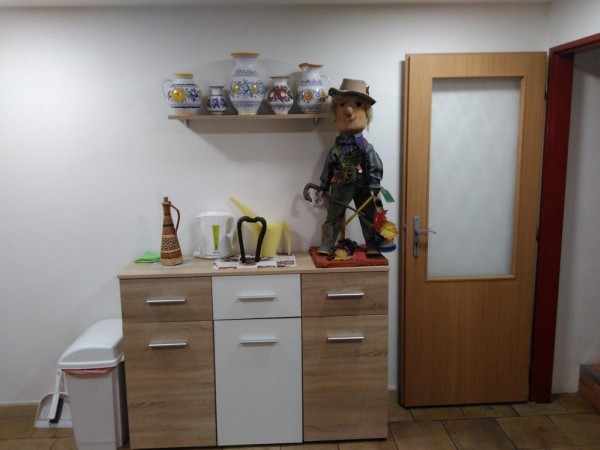 UBYTOVÁNÍ S VINNÝM SKLÍPKEM