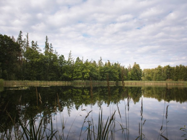 DOVOLENÁ PRO RODINY S DĚTMI