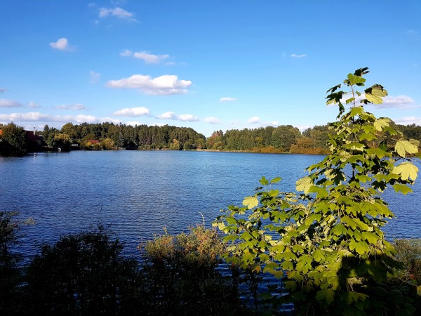 PRONÁJEM CHATY V JIŽNÍCH ČECHÁCH