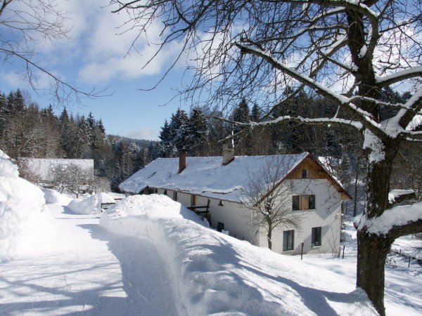UBYTOVÁNÍ S BAZÉNEM