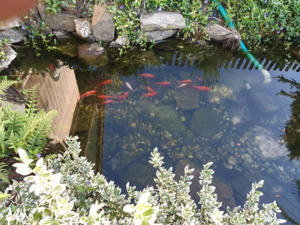 PRONÁJEM CHALUPY NA MORAVĚ