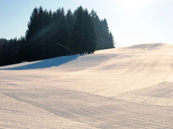LUXUSNÍ CHATA S WELLNESS