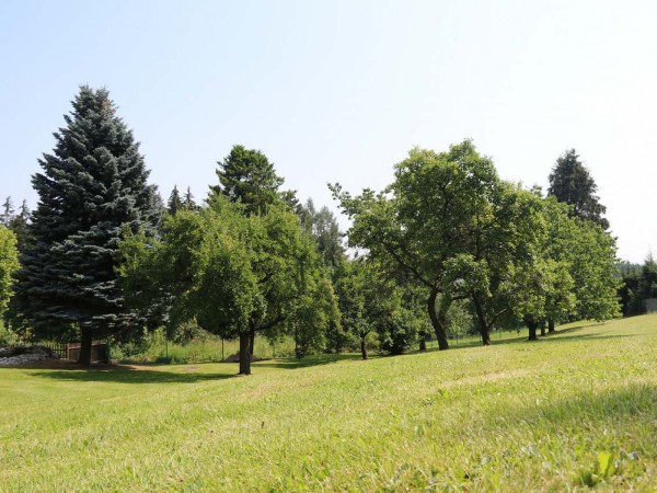 LUXUSNÍ CHATA S WELLNESS