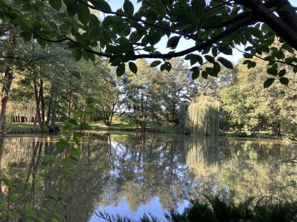 LUXUSNÍ CHALUPA NA TÁBORSKU