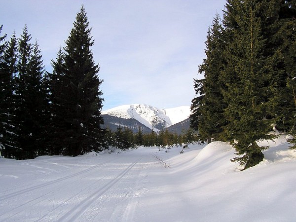 CHALUPA PRO RODINY S DĚTMI V KRKONOŠÍCH