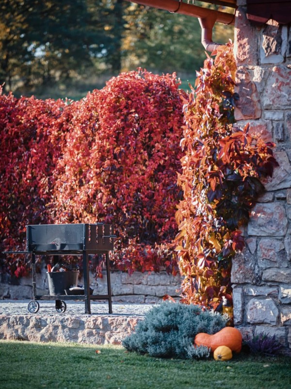 LUXUSNÍ UBYTOVÁNÍ NEDALEKO ADRŠPACHU