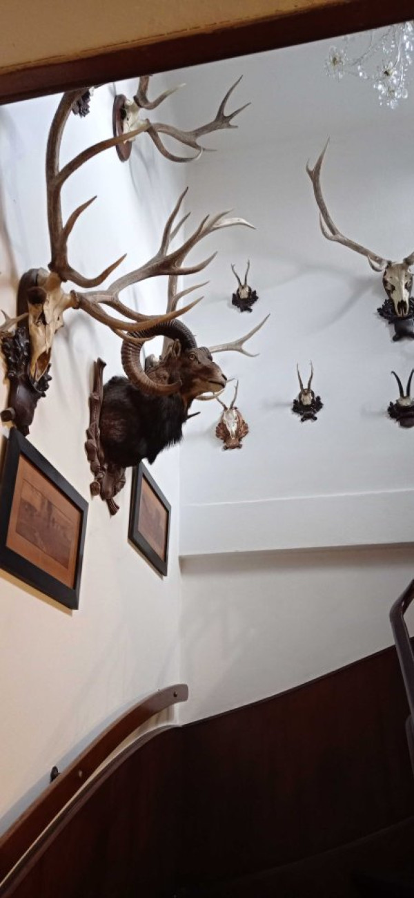 WELLNESS ZÓNA S VNITŘNÍM BAZÉNEM A SAUNAMI