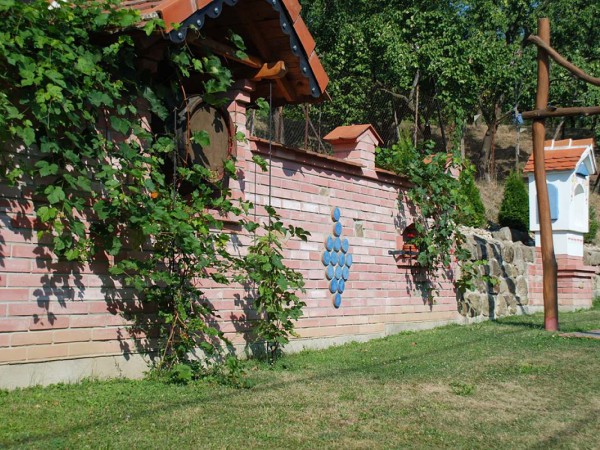 CHATA K PRONÁJMU S BAZÉNEM