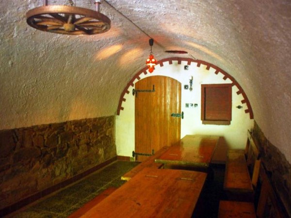 CHATA K PRONÁJMU S BAZÉNEM