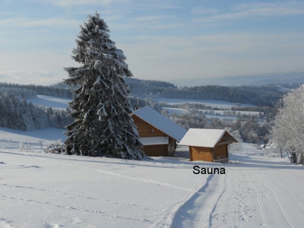 PRONÁJEM CHATY SE SAUNOU