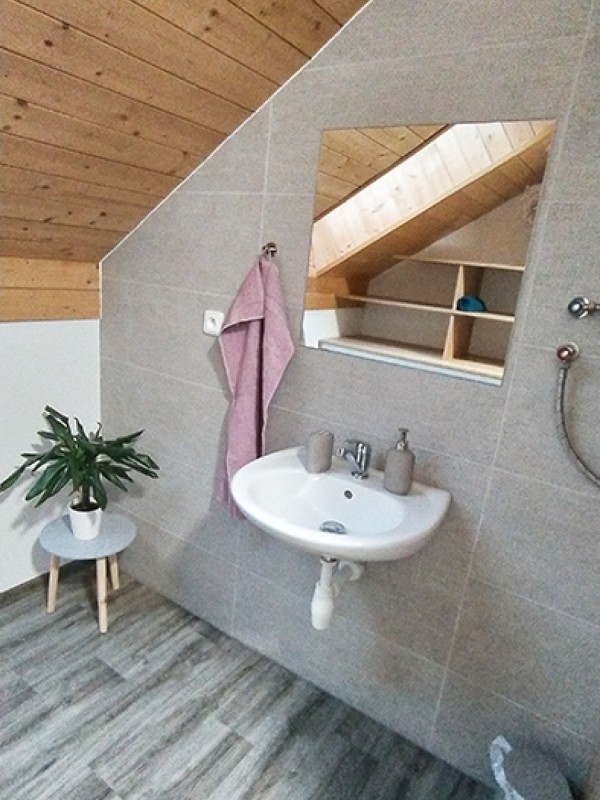 CHALUPA V ORLICKÝCH HORÁCH