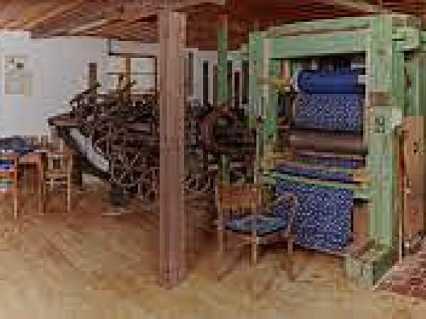 CHALUPA U LESA NA VYSOČINĚ
