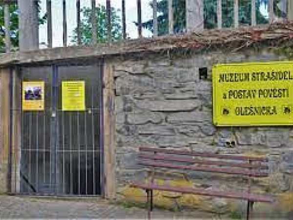 CHALUPA U LESA NA VYSOČINĚ