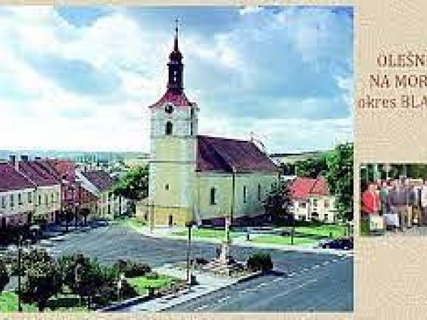 CHALUPA U LESA NA VYSOČINĚ
