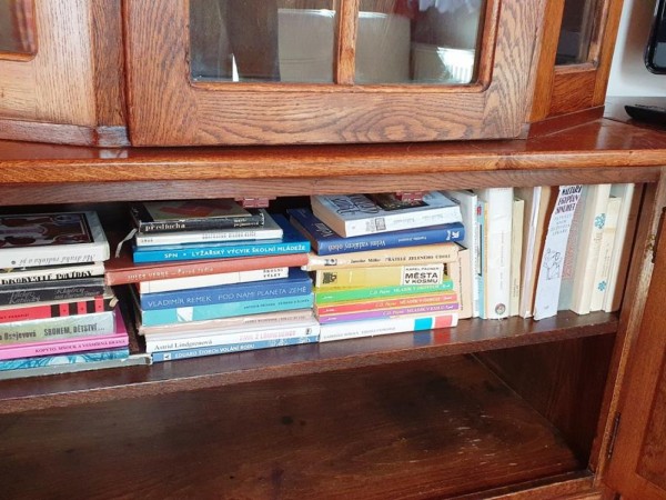 CHALUPA S WELLNESS I NA LYŽE