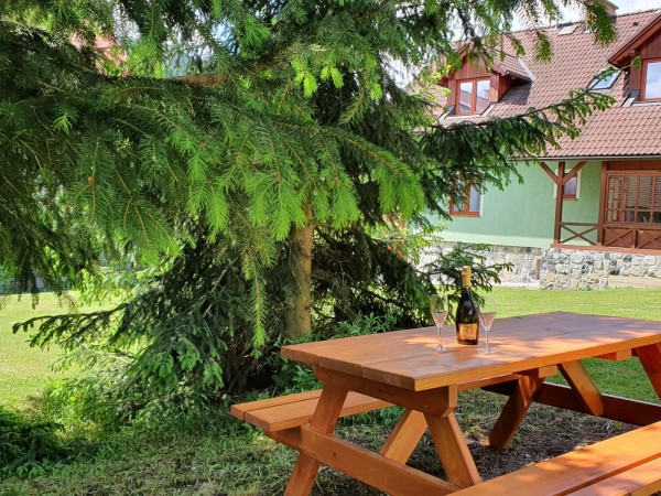 CHALUPA S WELLNESS I NA LYŽE