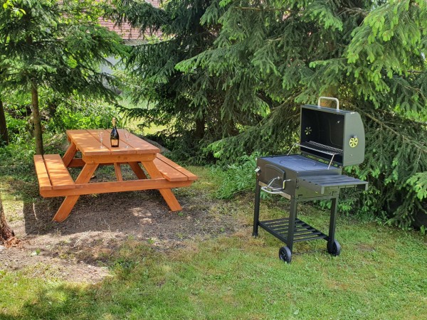 CHALUPA S WELLNESS I NA LYŽE