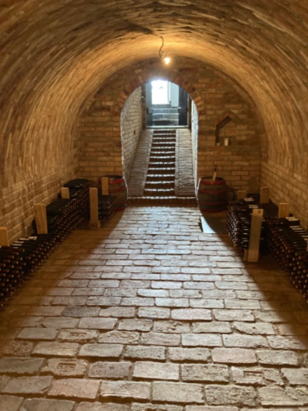 UBYTOVÁNÍ NAD SKLÍPKEM