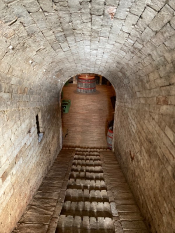 UBYTOVÁNÍ NAD SKLÍPKEM