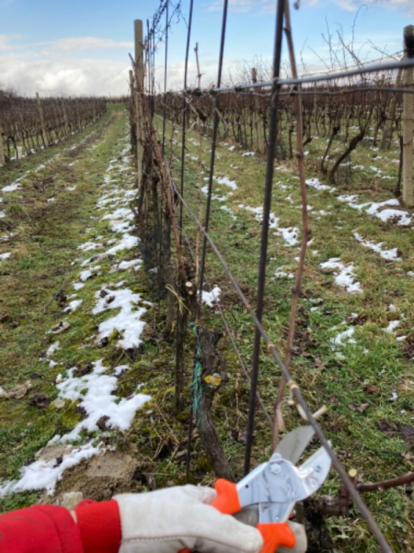 UBYTOVÁNÍ NAD SKLÍPKEM