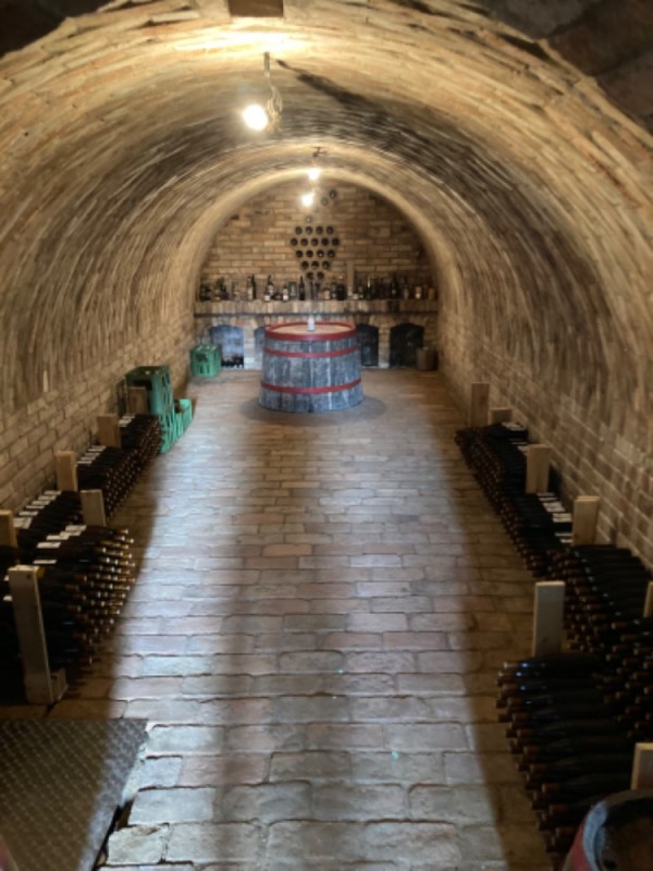 Chalupa Ubytování ve vinném sklípku na Moravě