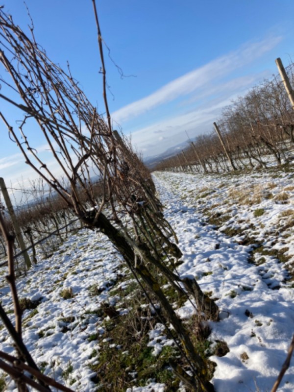 UBYTOVÁNÍ NAD SKLÍPKEM