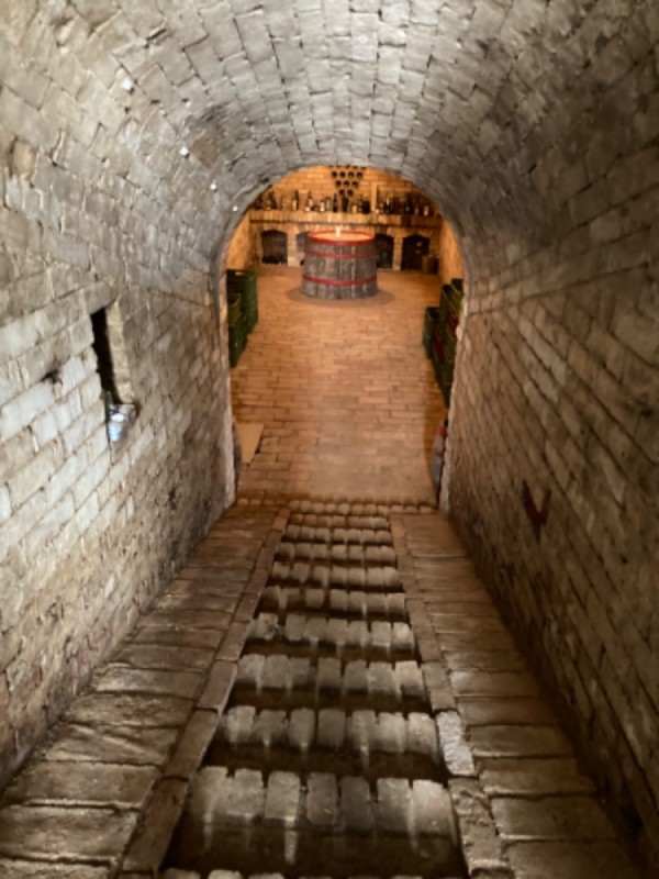 UBYTOVÁNÍ NAD SKLÍPKEM