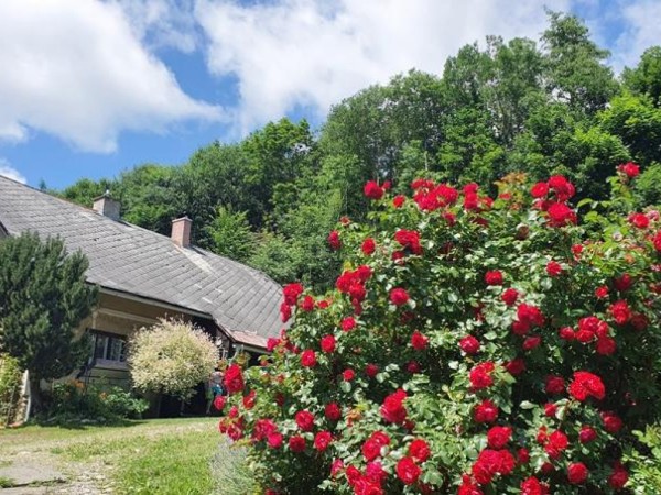 CHALUPA U LYŽAŘSKÉHO AREÁLU KOUTY NAD DESNOU