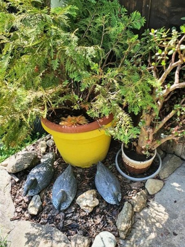 CHALUPA U LYŽAŘSKÉHO AREÁLU KOUTY NAD DESNOU