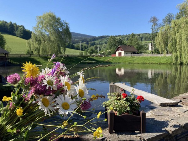 CHALUPA S BAZÉNEM JESENÍKY - SPORTOVNÍ RYBOLOV