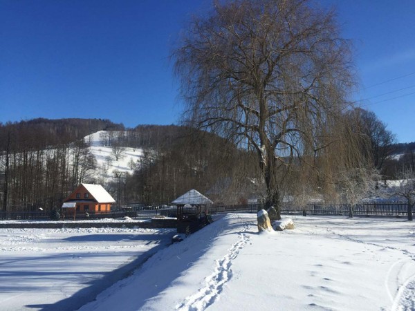 CHALUPA S BAZÉNEM JESENÍKY - SPORTOVNÍ RYBOLOV