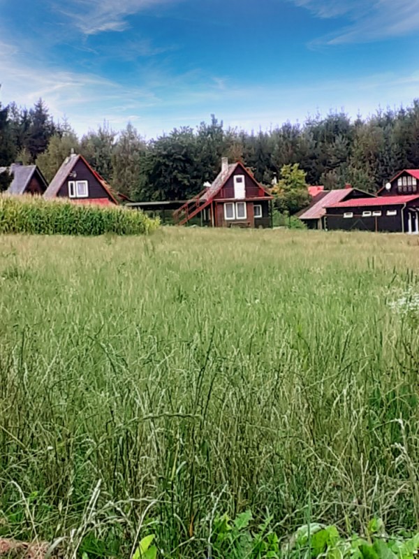 LEVNÉ UBYTOVÁNÍ U RYBNÍKA