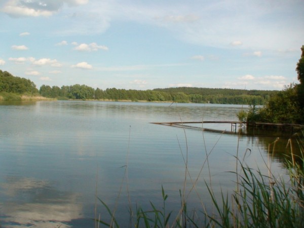 LEVNÉ CHATY U RYBNÍKA