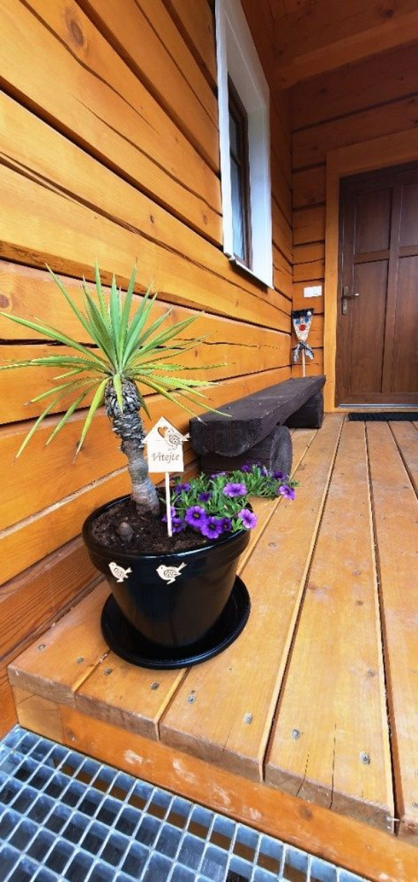 CHALUPA S INFRASAUNOU U LYŽAŘSKÉHO AREÁLU KOUTY NAD DESNOU