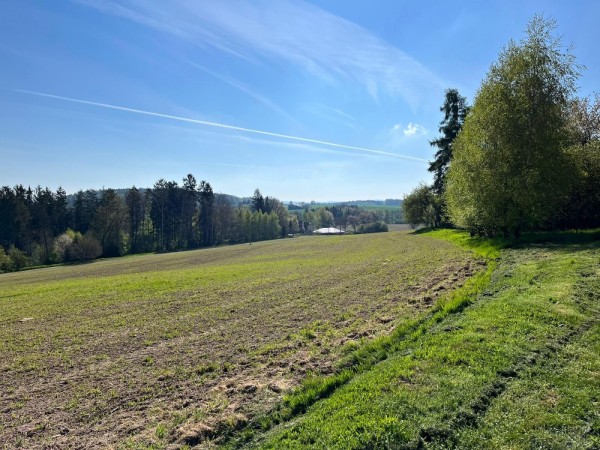 REKREAČNÍ OBLAST ŘEDKOVEC U HRADU LIPNICE NAD SÁZAVOU