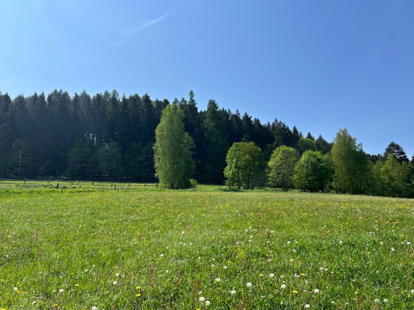 ROUBENÁ CHALUPA NA POLOSAMOTĚ