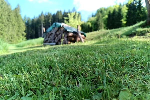 ROUBENÁ CHALUPA NA POLOSAMOTĚ