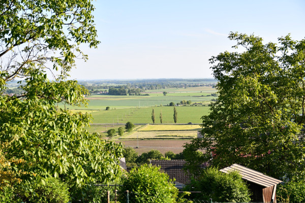 DĚTSKÝ SEN NA CHALUPĚ U LESA